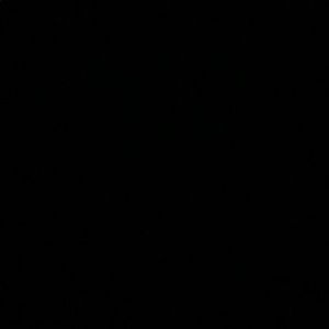 Meet your Posher, Annusha